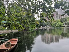 -荔湾湖公园