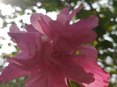 -洛阳市隋唐城遗址植物园