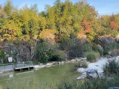-上海吴淞炮台湾国家湿地公园