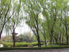 -洛阳市隋唐城遗址植物园