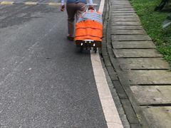 -火炉山森林公园