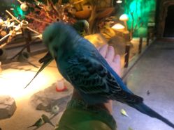 -酷嗒动物文化乐园(cutezoo西溪乐天城店)