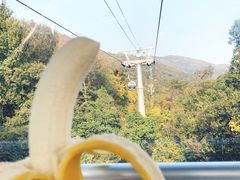 -紫金山索道-售票处