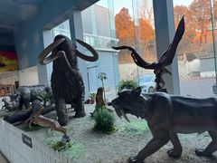 -中国第四纪冰川遗迹陈列馆