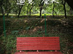 -天河儿童公园
