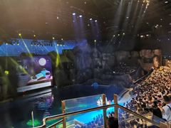 -芜湖新华联大白鲸海洋公园