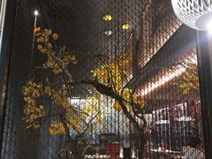 -京华烟云·北京烤鸭(领展购物广场·中关村店)