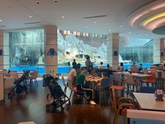 大堂-帝企鹅自助餐厅•儿童岛•真企鹅(长隆企鹅酒店)