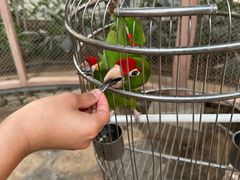 -南宫五洲植物乐园