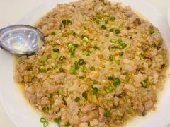 极品酱章鱼蒸肉饼-大友(港口店)