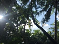 -石梅湾艾美度假酒店