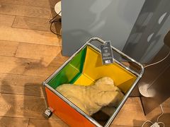 -乐蓬马歇百货公司(Rive Gauche)