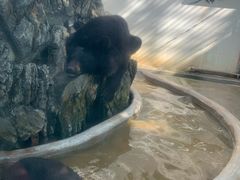 -广东茂名森林公园