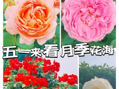 -上海辰山植物园