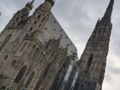 -斯蒂芬主教座堂(Stephansdom)