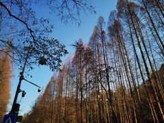 -杭州西湖风景名胜区-满觉陇四眼井