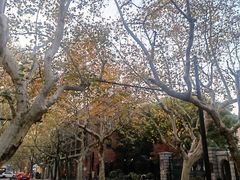 -Money Shops(愚园路店)