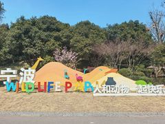 -宁波野生动物园