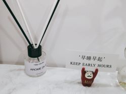 -凡碧诗毛孔清洁收细