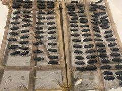 -中国（海南）南海博物馆