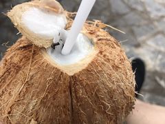 -100蛋泥浆浴