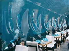 大堂-海棠湾洲际-涛·海底餐厅·美人鱼·自助餐·海底隧道