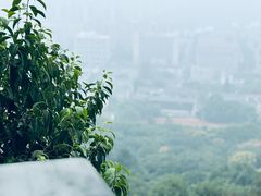 -杭州半山国家森林公园