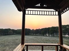 -苏州太湖国家湿地公园