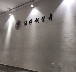 -柯宏＆雅婷塑形钢管舞蹈