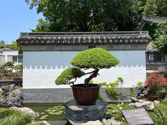 -水绘园