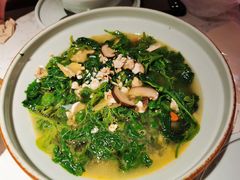 上汤桑叶苗-大榕树下顺德菜(融创茂店)