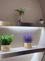 -宇东国际 HAIR SALON