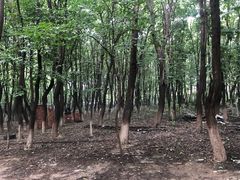 -亲兄弟真人CS团建拓展基地