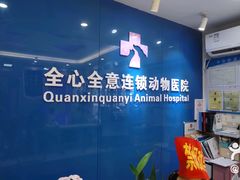 -全心全意连锁动物医院·微创中心·内科急重症·心脏专科(丰管路店)