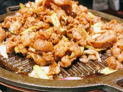 -北平盛世·新京菜·北京烤鸭(劲松·双井店)