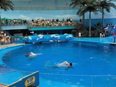 -海合安成都极地海洋公园