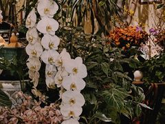 -花二家·生活馆(六运小区店)