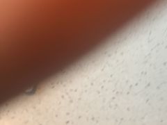 -半天妖烤鱼(印象城店)