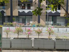 -成都市活水公园