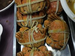 -乡乐园蟹庄·阳澄湖农家乐