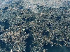 -丁香湖公园