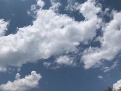 -青峰峡国家森林公园