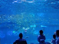 -华夏文旅西安度假区