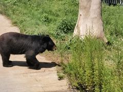 -西安秦岭野生动物园