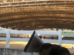 -多维国际马术俱乐部(118广场店)