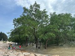 -宝安西湾红树林湿地公园