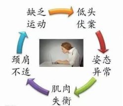 -香薇妮丝·定制减肥·身材管理