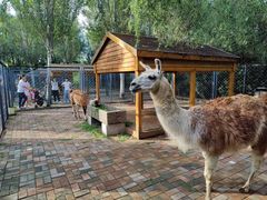 -长白岛森林公园