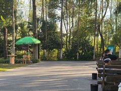 -合肥滨湖国家森林公园