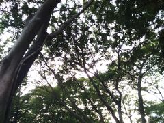 -广州雕塑公园